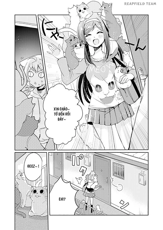 Catulus Syndrome Chapter 3 - 6