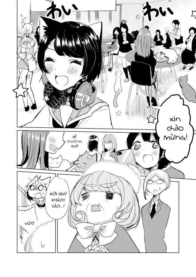 Catulus Syndrome Chapter 12 - 5