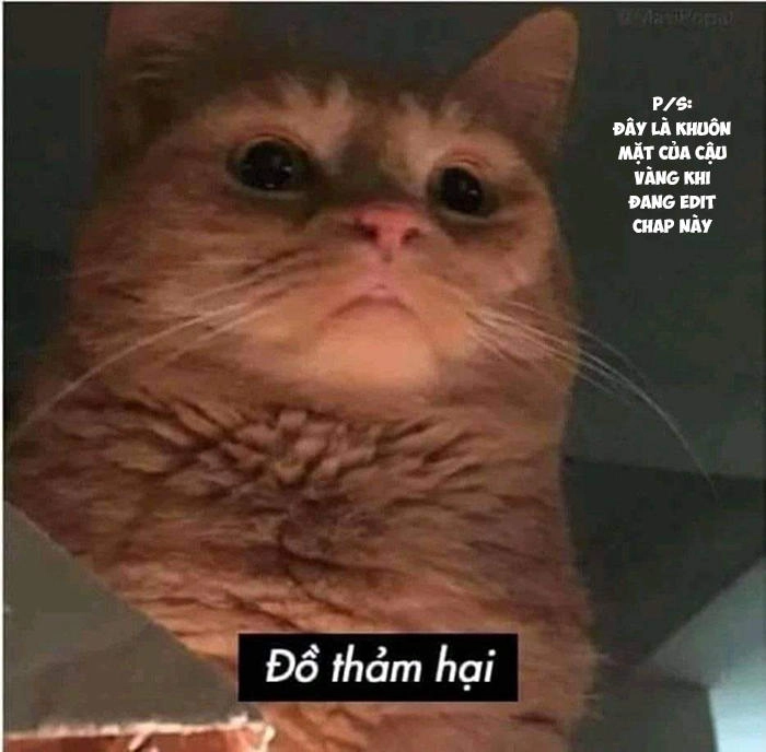 Catulus Syndrome Chapter 15 - 14