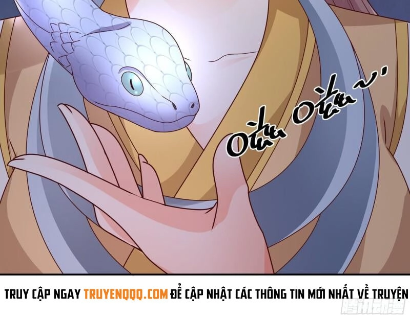 Trọng Sinh 1000 Lần, Ta Vô Địch Chapter 41 - 6