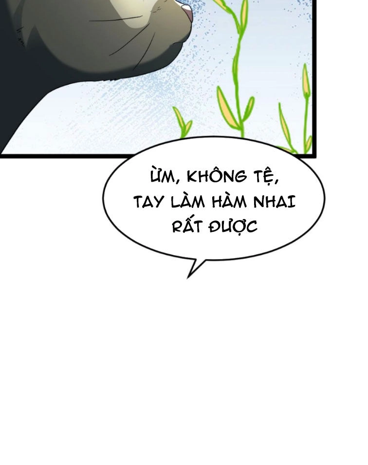 Toàn Cầu Băng Phong: Ta Chế Tạo Phòng An Toàn Tại Tận Thế Chapter 217 - 7