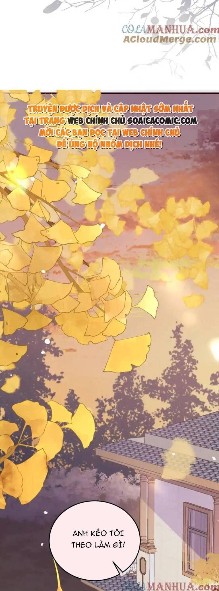 Ta Có Hào Quang Bá Tổng Chapter 19 - 11