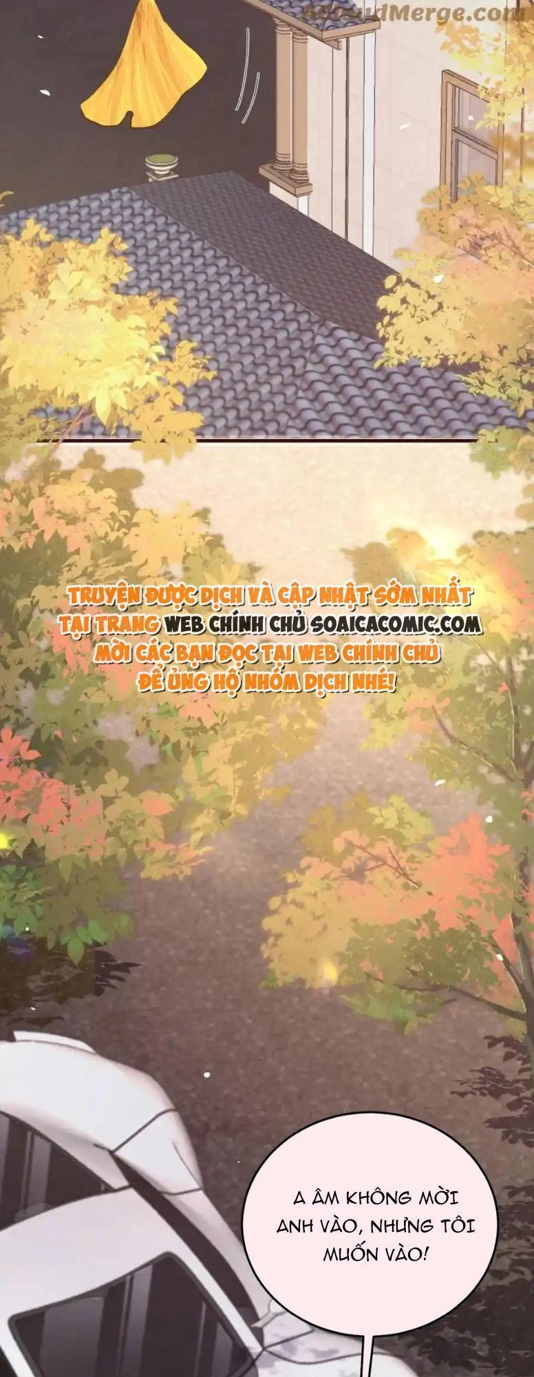 Ta Có Hào Quang Bá Tổng Chapter 19 - 12