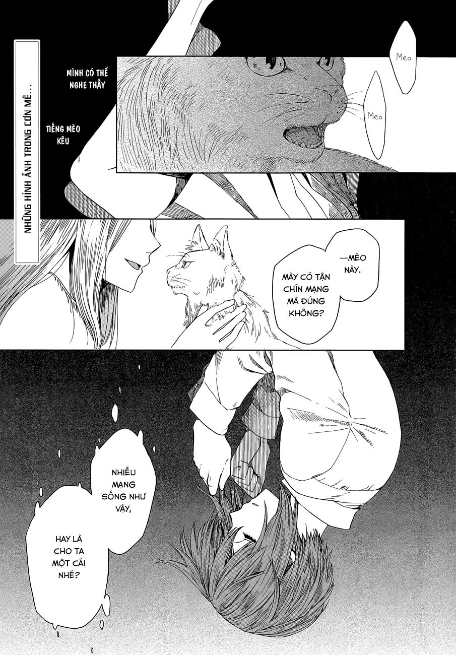 Cô Dâu Pháp Sư Chapter 4 - 3