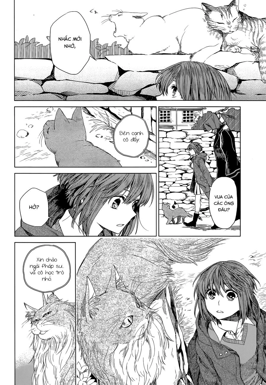 Cô Dâu Pháp Sư Chapter 4 - 14