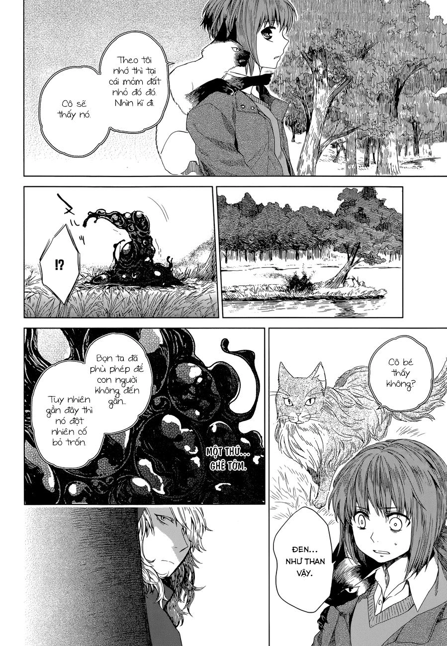 Cô Dâu Pháp Sư Chapter 4 - 22