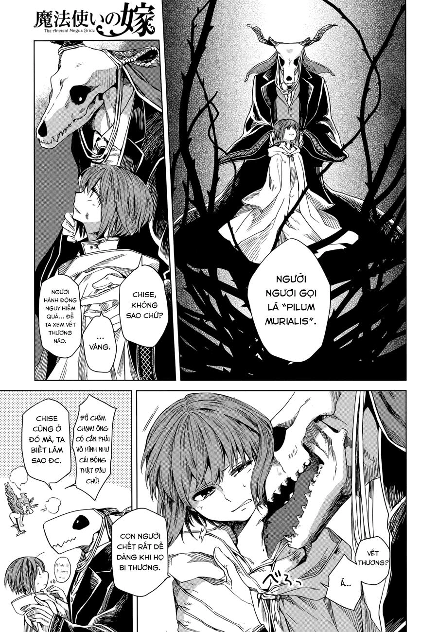 Cô Dâu Pháp Sư Chapter 6 - 14