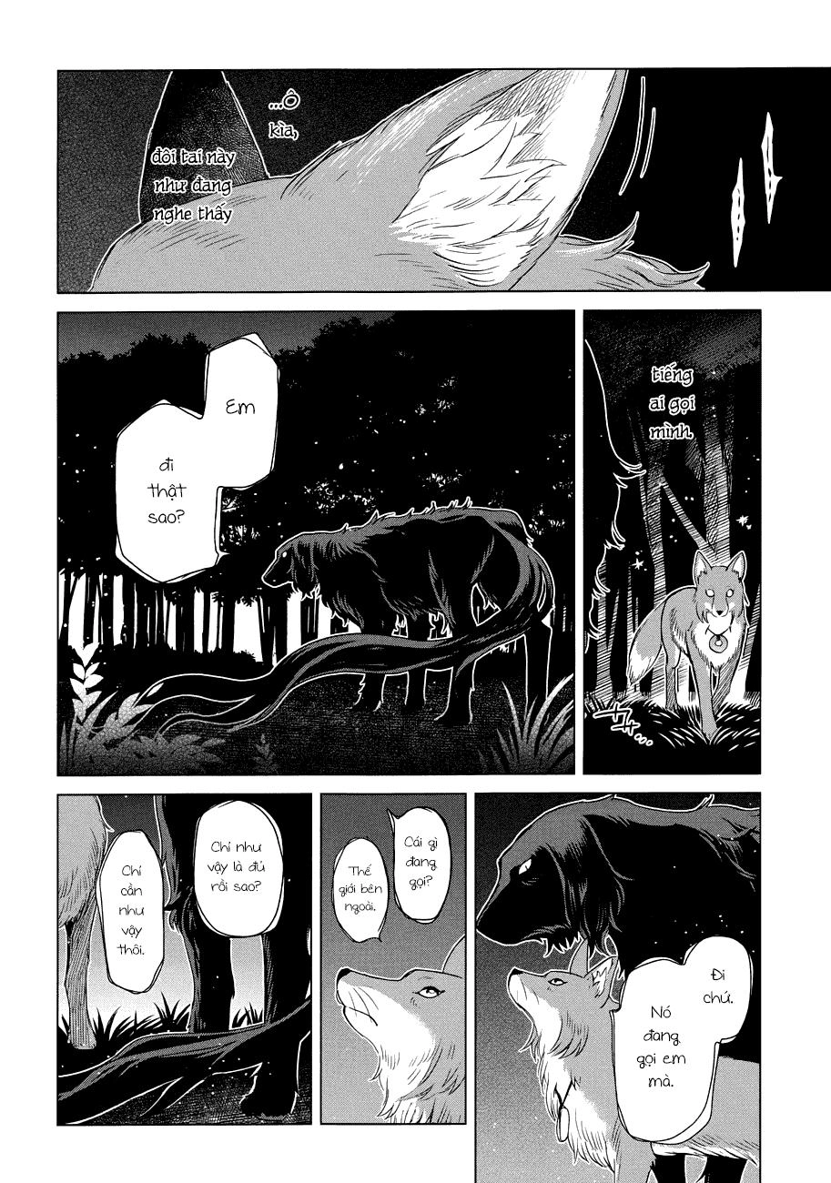 Cô Dâu Pháp Sư Chapter 20 - 31