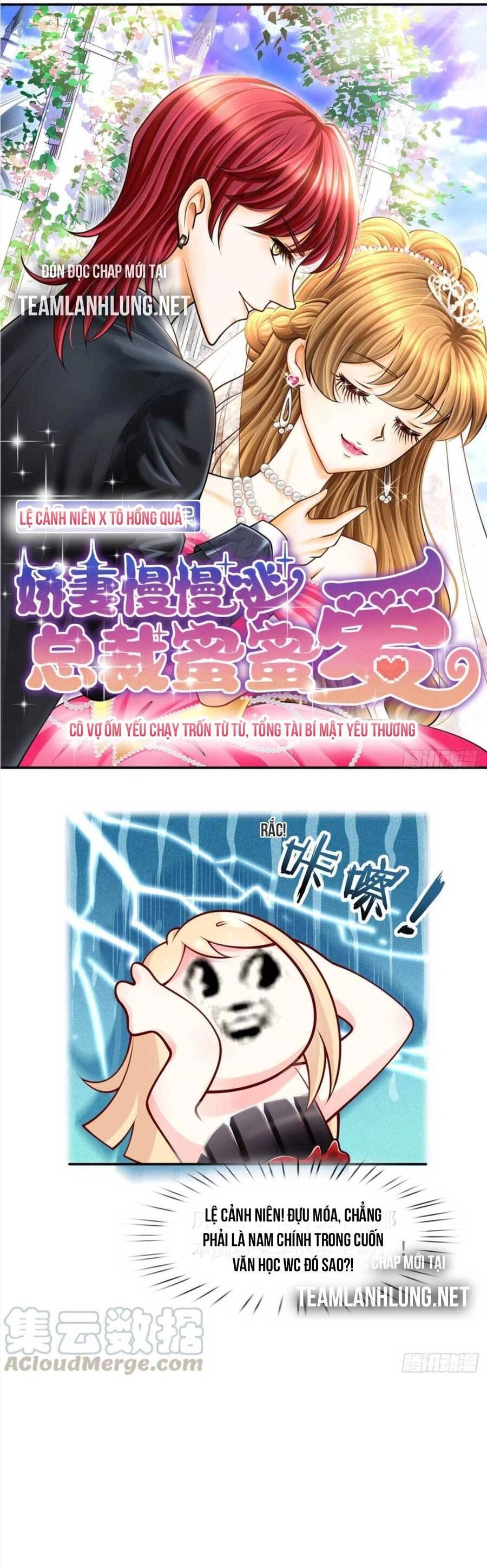 Tôi Trở Thành Kiều Thê Của Ông Trùm Phản Diện Chapter 11 - 27