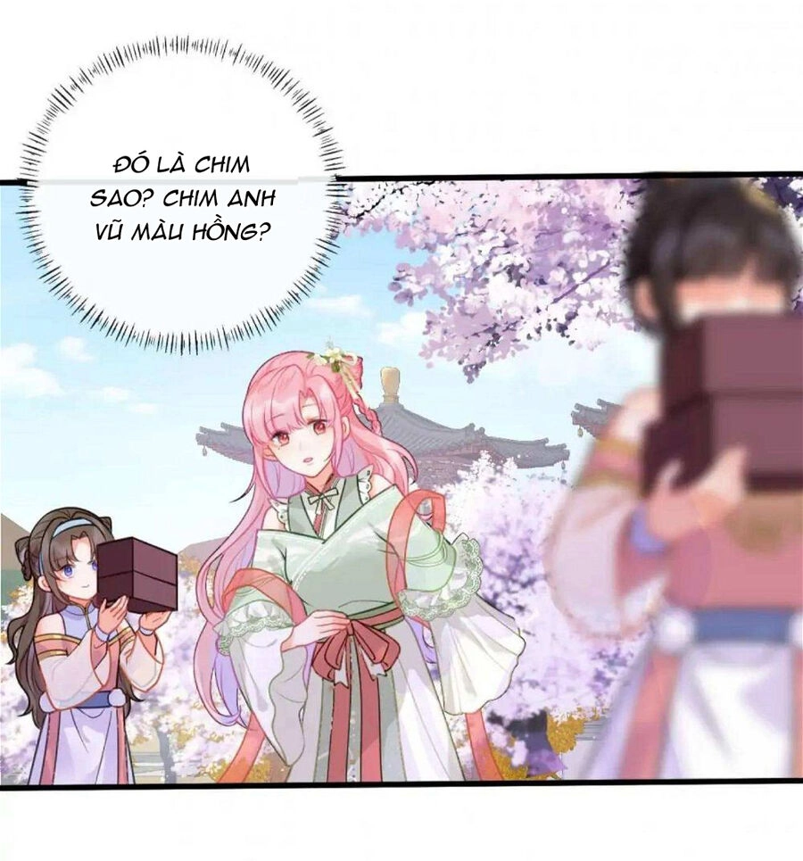 Sau Khi Công Chúa Bội Tình Bạc Nghĩa Chapter 23 - 5