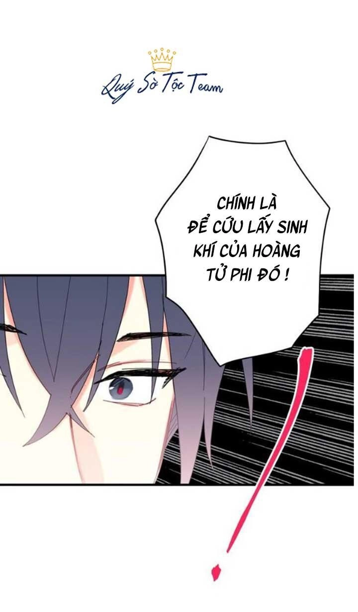 Trọng Sinh Trở Thành Hoàng Phi Chapter 53 - 25