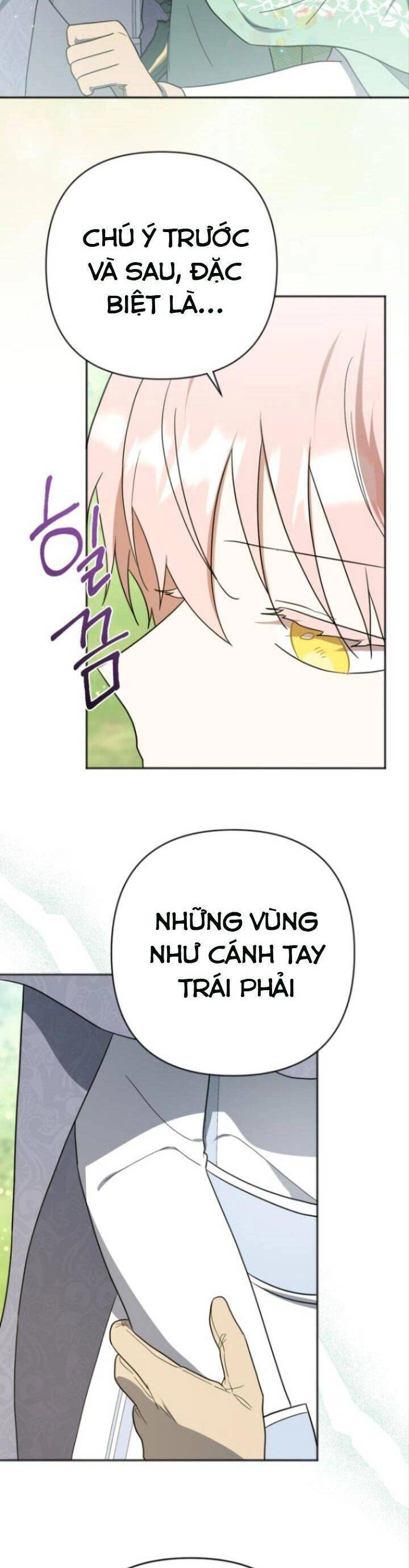 Cậu Ấy Thức Tỉnh Khi Tôi Đã Chết Chapter 13 - 29