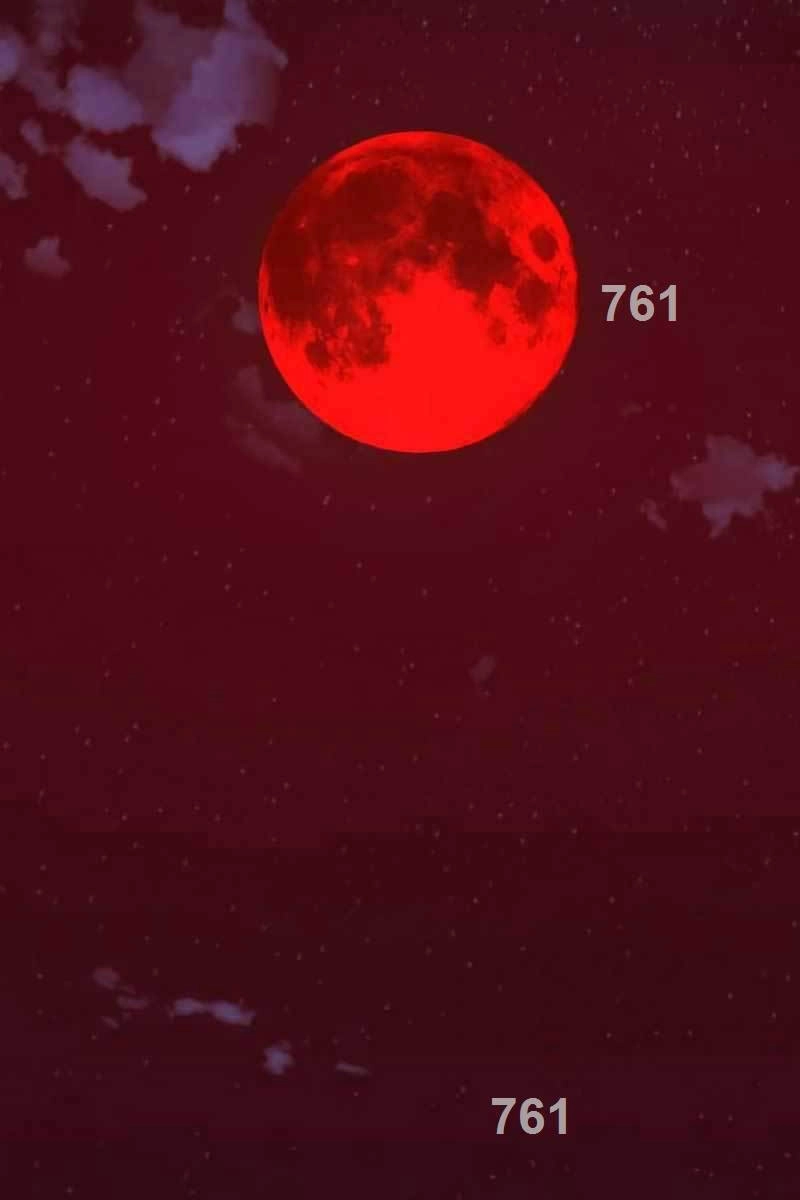 Tôi Đã Giết Tuyển Thủ Học Viện Chapter 13 - 2