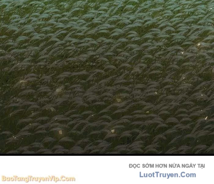 Hắc Kị Sĩ Thiên Tài Giới Hạn Thời Gian Chapter 118 - 157