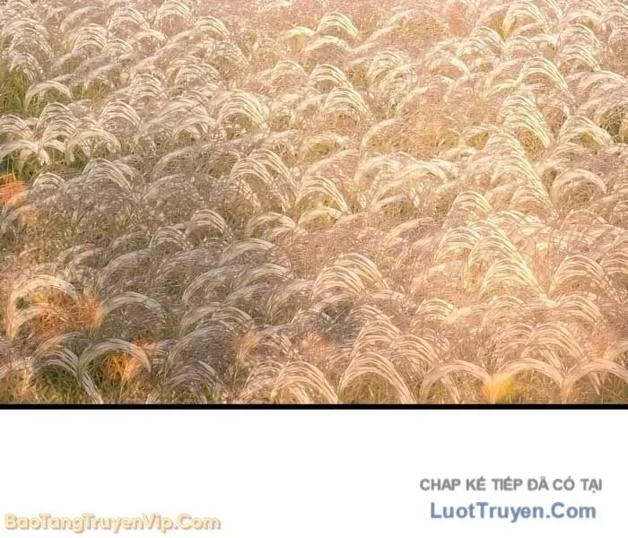 Hắc Kị Sĩ Thiên Tài Giới Hạn Thời Gian Chapter 126 - 142