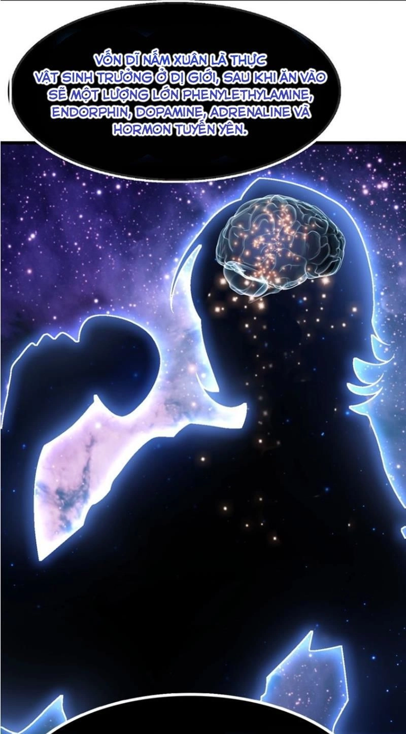 Đại Thiên Tài Bất Khả Chiến Bại Chính Là Ta Chapter 31 - 28