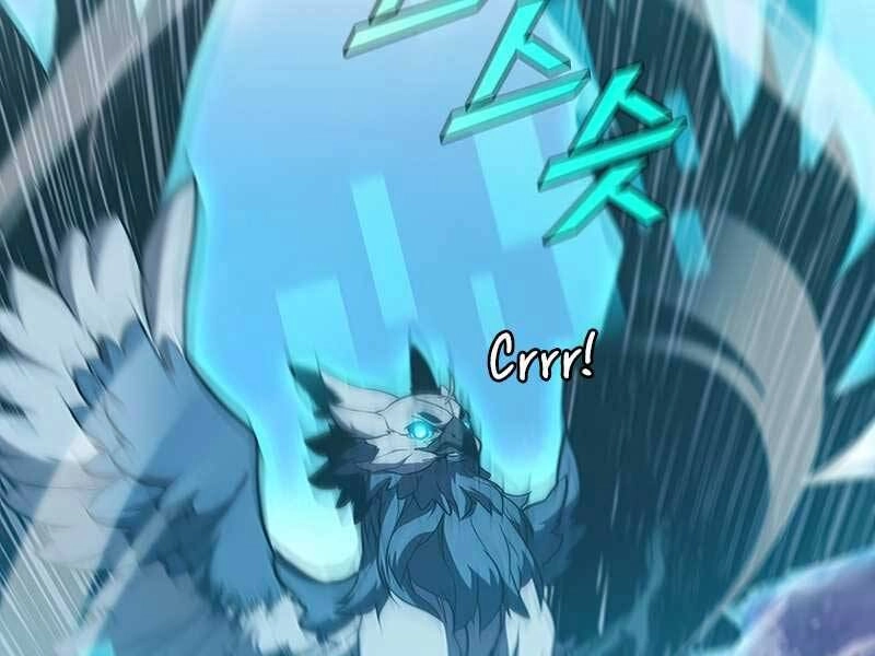 Bậc Thầy Thuần Hóa Chapter 65 - 63