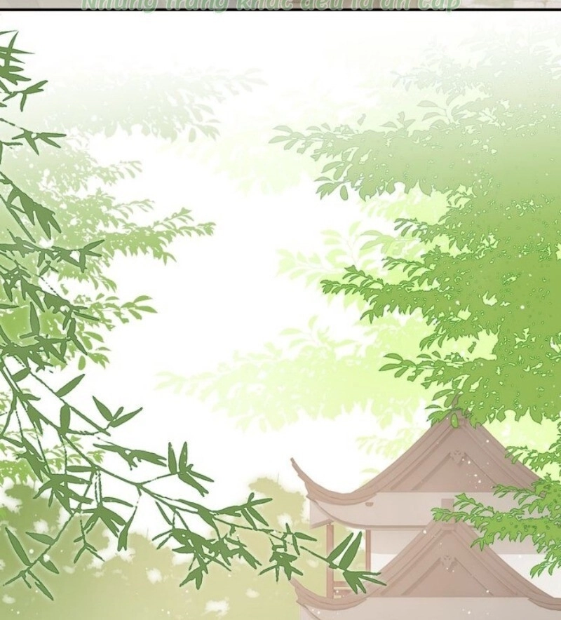 Dưỡng Địch Vi Hoạn Chapter 23 - 32