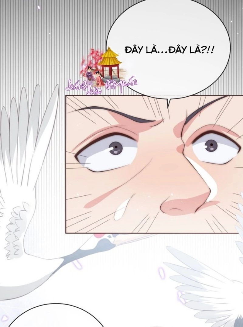 Dưỡng Địch Vi Hoạn Chapter 25 - 31