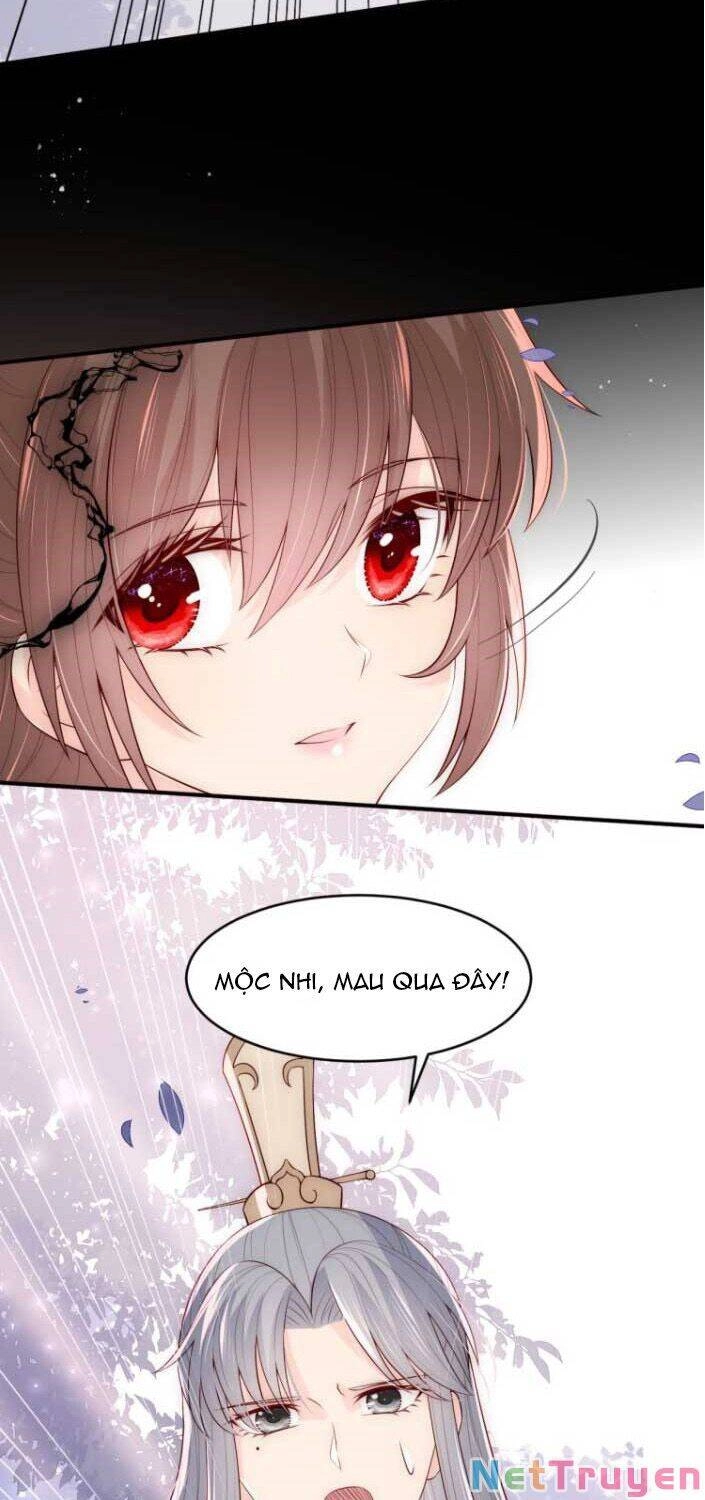 Dưỡng Địch Vi Hoạn Chapter 95 - 13