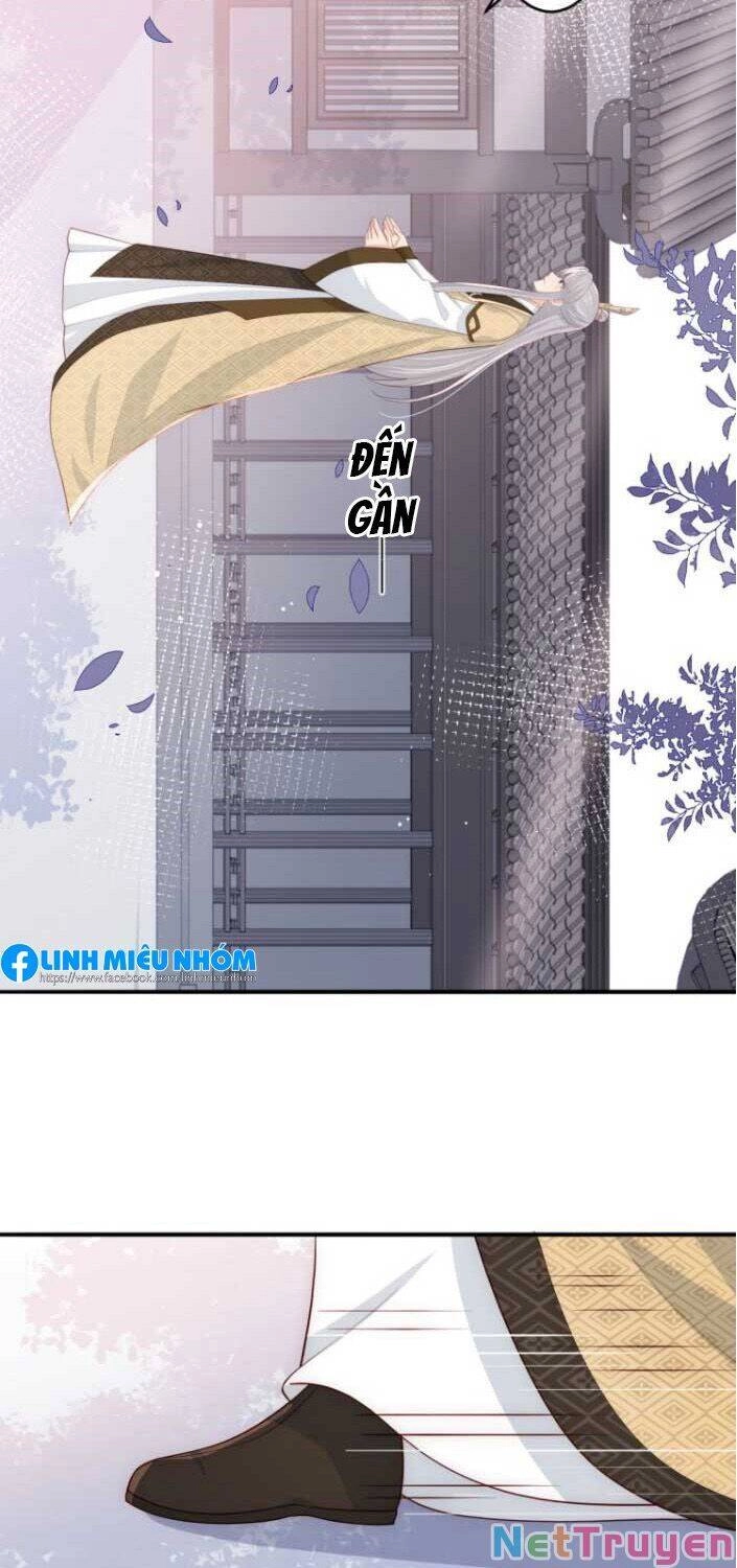 Dưỡng Địch Vi Hoạn Chapter 95 - 17