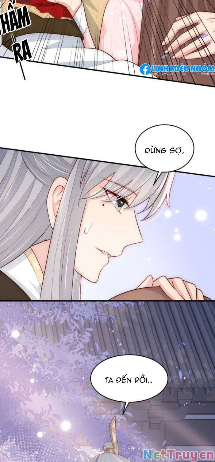 Dưỡng Địch Vi Hoạn Chapter 95 - 21