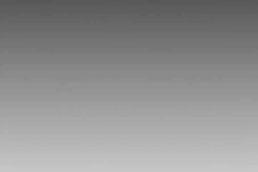 Tôi Là Người Chơi Leo Tháp Một Mình Chapter 77 - 210