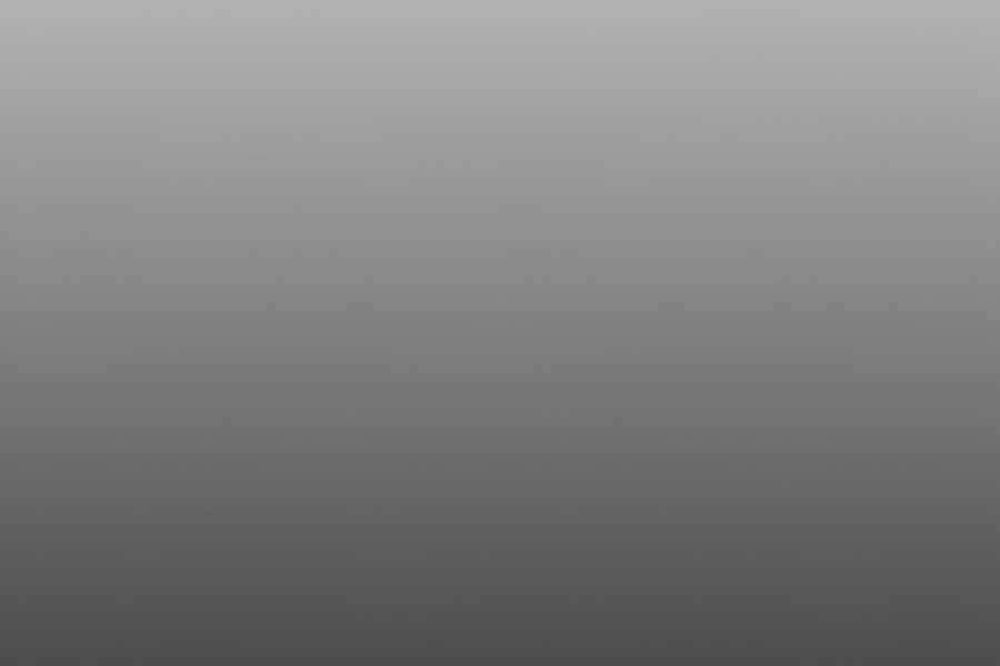 Tôi Là Người Chơi Leo Tháp Một Mình Chapter 77 - 231