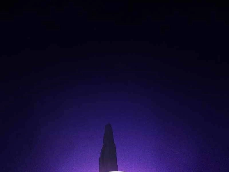 Tôi Là Người Chơi Leo Tháp Một Mình Chapter 99 - 141