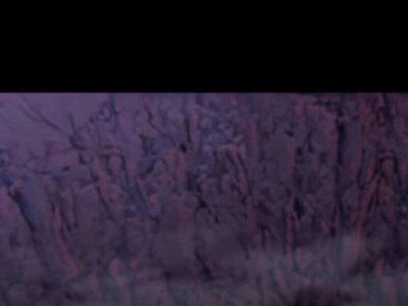 Tôi Là Người Chơi Leo Tháp Một Mình Chapter 110 - 197