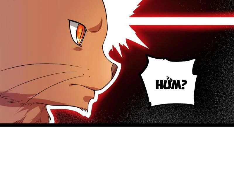 Mạnh Nhất Dị Giới Chapter 19 - 54