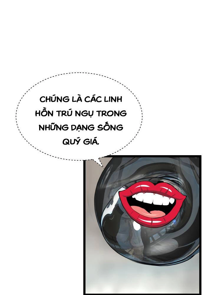 Ranker Bất Bại Chapter 29 - 27