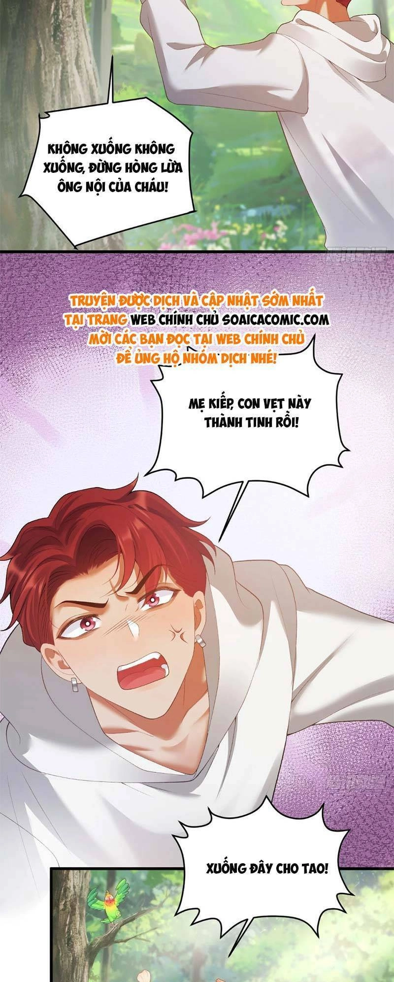 Bé Thóc Đáng Thương Được Tám Người Cậu Tranh Sủng Chapter 5 - 19