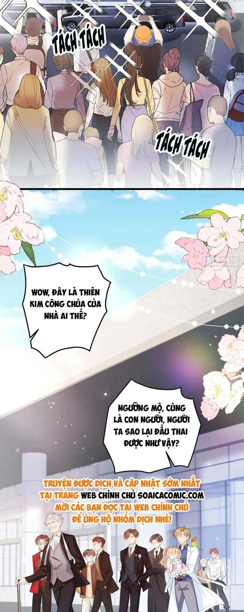 Bé Thóc Đáng Thương Được Tám Người Cậu Tranh Sủng Chapter 6 - 22