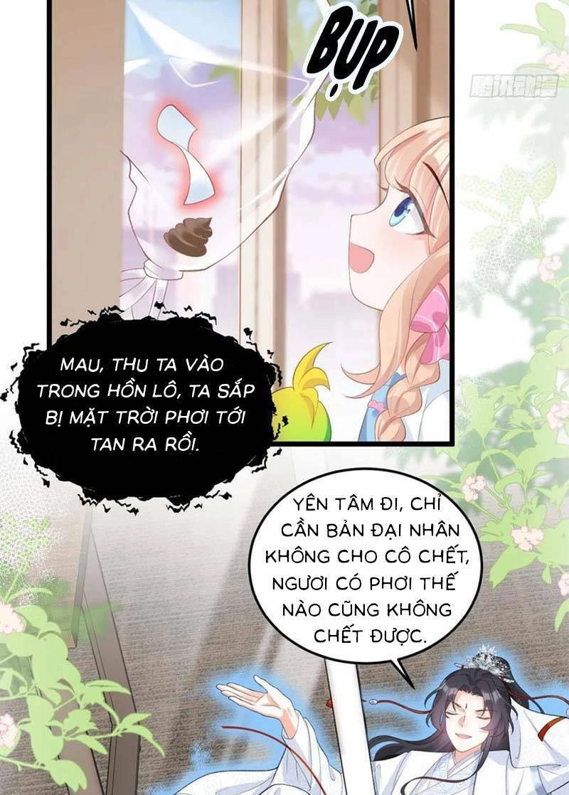 Bé Thóc Đáng Thương Được Tám Người Cậu Tranh Sủng Chapter 13 - 20