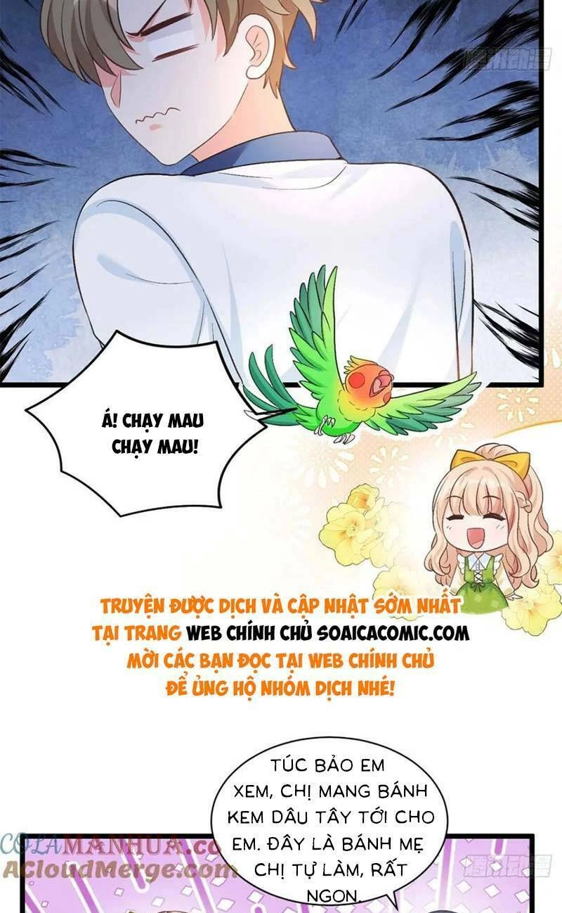 Bé Thóc Đáng Thương Được Tám Người Cậu Tranh Sủng Chapter 17 - 26