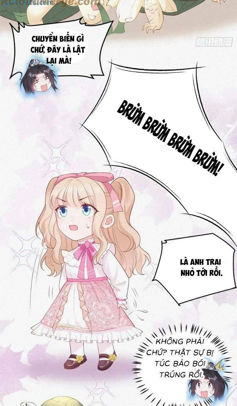 Bé Thóc Đáng Thương Được Tám Người Cậu Tranh Sủng Chapter 20 - 12