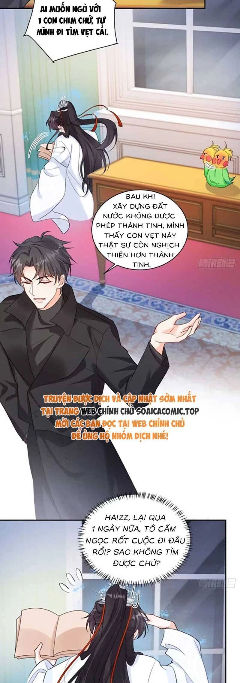 Bé Thóc Đáng Thương Được Tám Người Cậu Tranh Sủng Chapter 72 - 16