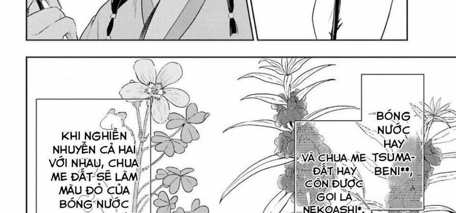 Độc Thoại Của Người Dược Sĩ Chapter 36.2 - 37