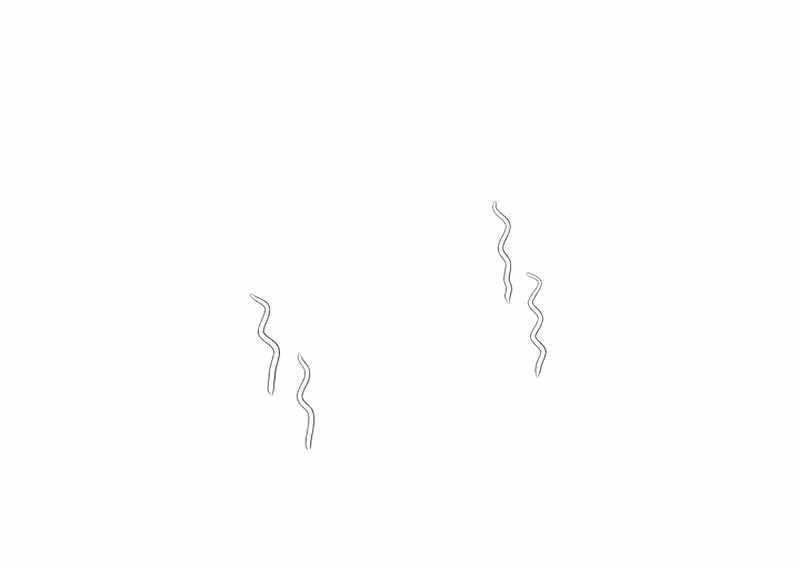 Đội Trưởng Lính Đánh Thuê Chapter 143 - 135