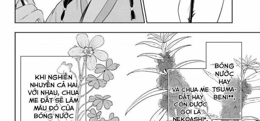 Dược Sư Tự Sự - Nhật Ký Giải Mã Bí Ẩn Chốn Hậu Cung Của Maomao Chapter 36.2 - 37