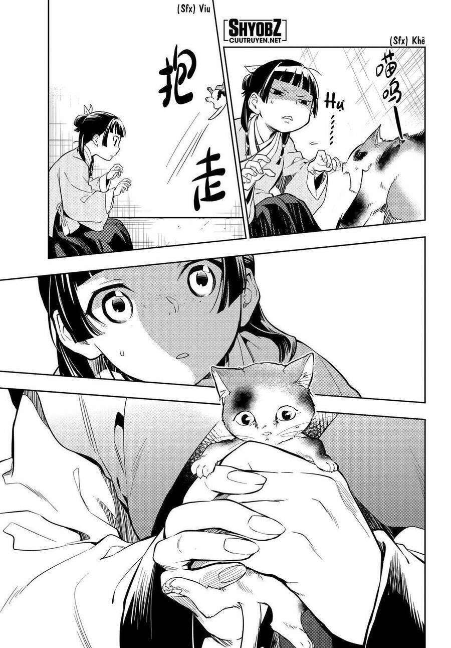 Dược Sư Tự Sự - Nhật Ký Giải Mã Bí Ẩn Chốn Hậu Cung Của Maomao Chapter 42 - 13