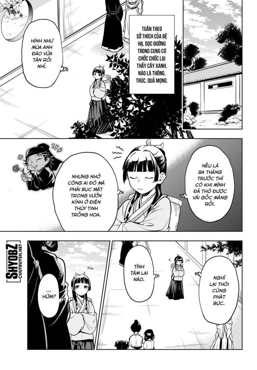 Dược Sư Tự Sự - Nhật Ký Giải Mã Bí Ẩn Chốn Hậu Cung Của Maomao Chapter 49 - 12
