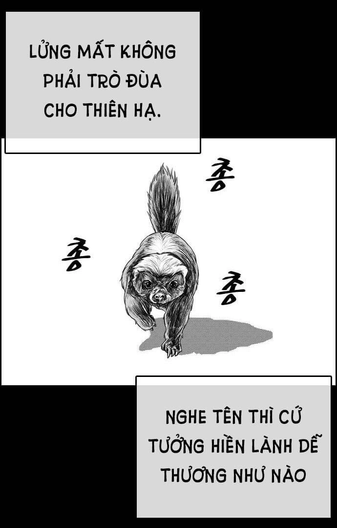 Những Mảnh Đời Tan Vỡ Chapter 4 - 4