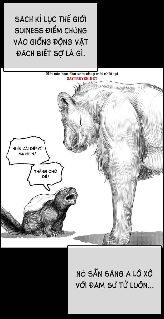 Những Mảnh Đời Tan Vỡ Chapter 4 - 6