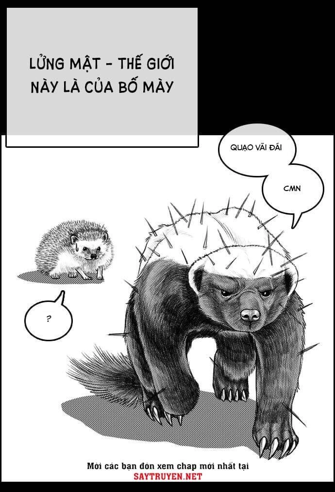 Những Mảnh Đời Tan Vỡ Chapter 4 - 8