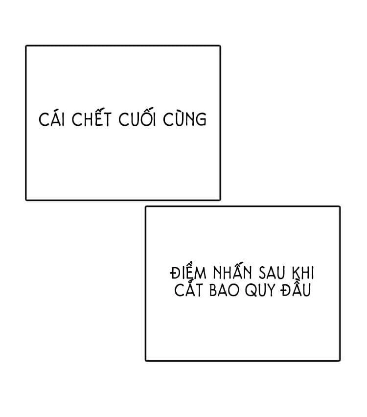 Những Mảnh Đời Tan Vỡ Chapter 21 - 103