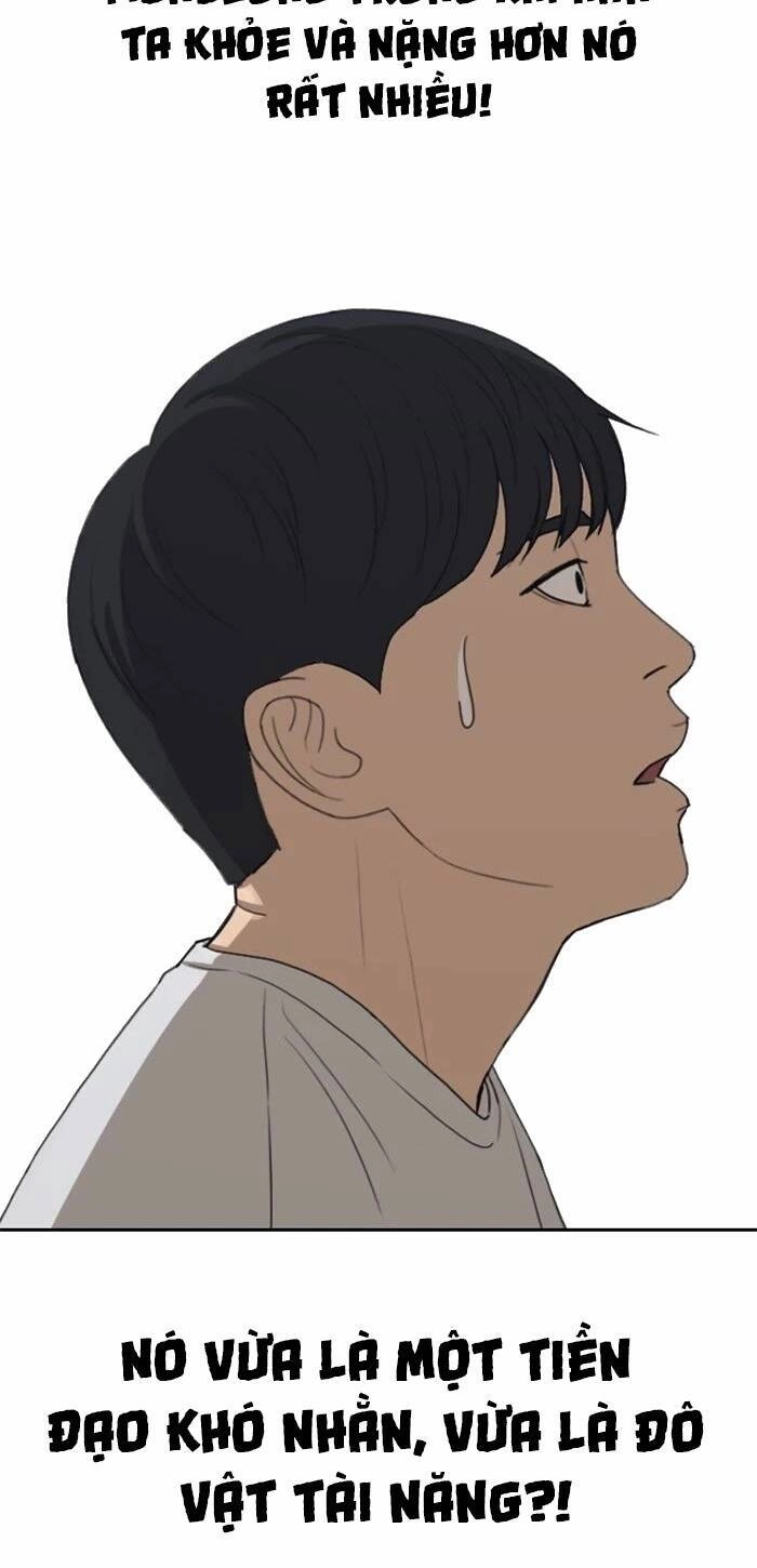 Những Mảnh Đời Tan Vỡ Chapter 42 - 70