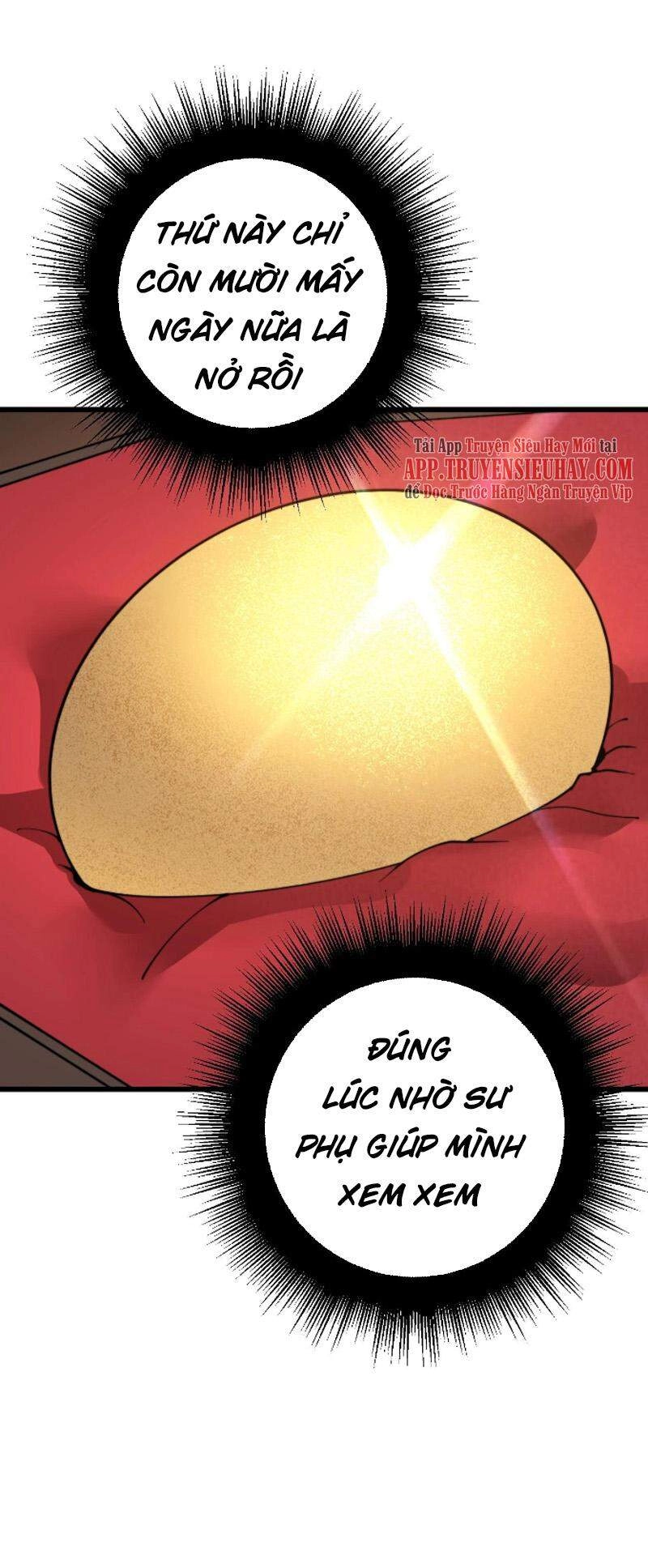 Độc Thủ Vu Y Chapter 269 - 15