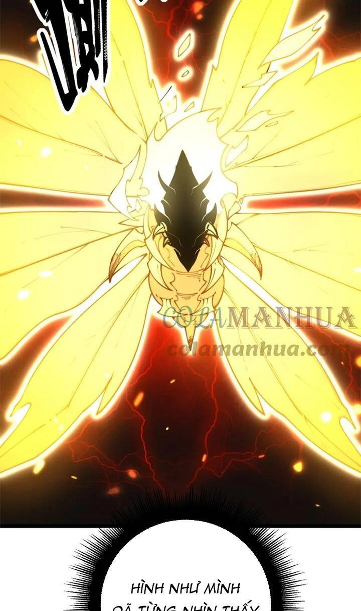 Độc Thủ Vu Y Chapter 402 - 20